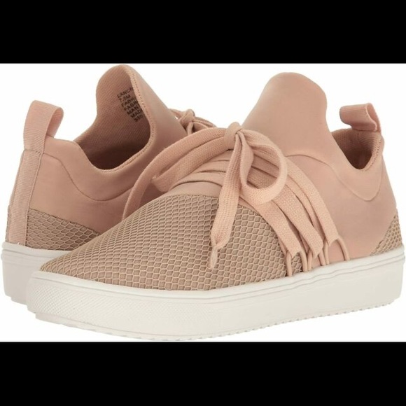 Steve Madden Lancer Sneakers - Picture 13 of 14